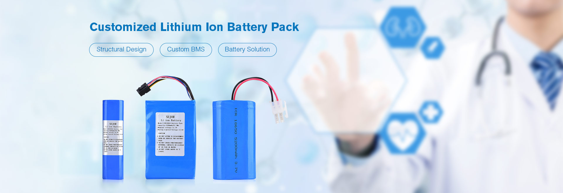 Lithium Ion Battery